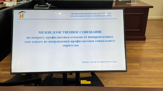 Межведомственное совещание по вопросу профилактики отказов от новорожденных как одного из направлений профилактики социального сиротства.