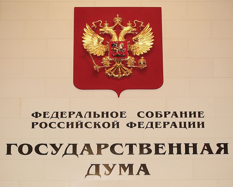 Принят Федеральный закон о социальной пенсии детям, у которых неизвестны оба родителя